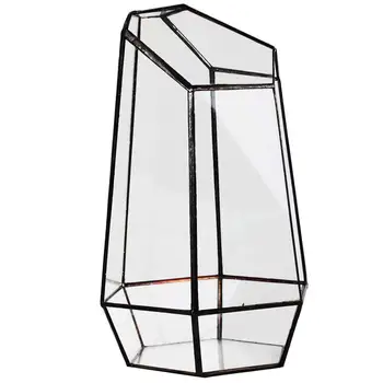 Домашна оранжерия, шестоъгълен стъклена ваза за такса, Миниатюрна градина с мини-пейзаж